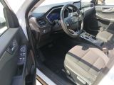 Ford Kuga bei Sportwagen.expert - Abbildung (9 / 15)
