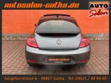 VW Beetle bei Sportwagen.expert - Abbildung (5 / 15)