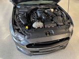 Ford Mustang bei Sportwagen.expert - Abbildung (14 / 15)