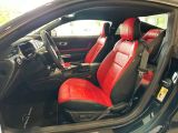 Ford Mustang bei Sportwagen.expert - Abbildung (15 / 15)