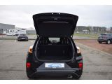 Ford Puma bei Sportwagen.expert - Abbildung (6 / 15)