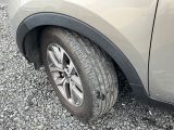 Kia Sportage bei Sportwagen.expert - Abbildung (5 / 15)