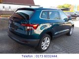 Skoda Karoq bei Sportwagen.expert - Abbildung (7 / 15)