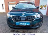 Skoda Karoq bei Sportwagen.expert - Abbildung (3 / 15)