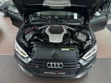 Audi S5 bei Sportwagen.expert - Abbildung (3 / 15)