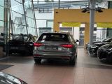 Audi A4 bei Sportwagen.expert - Abbildung (4 / 15)