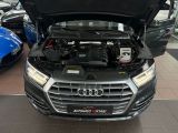 Audi Q5 bei Sportwagen.expert - Abbildung (3 / 15)