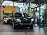Audi Q5 bei Sportwagen.expert - Abbildung (5 / 15)