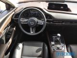 Mazda CX-30 bei Sportwagen.expert - Abbildung (7 / 15)