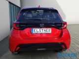 Mazda 2 bei Sportwagen.expert - Abbildung (4 / 15)