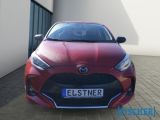 Mazda 2 bei Sportwagen.expert - Abbildung (2 / 15)