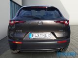 Mazda CX-30 bei Sportwagen.expert - Abbildung (6 / 14) Mazda CX-30 bei Sportwagen.expert - Abbildung (6 / 14)