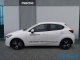 Mazda 2 bei Sportwagen.expert - Abbildung (3 / 15)