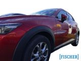 Mazda CX-3 bei Sportwagen.expert - Abbildung (2 / 13)