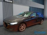 Mazda 3 bei Sportwagen.expert - Abbildung (2 / 14)