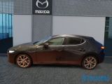 Mazda 3 bei Sportwagen.expert - Abbildung (3 / 14)