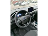 Ford Kuga bei Sportwagen.expert - Abbildung (7 / 14)