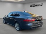 Jaguar XF bei Sportwagen.expert - Abbildung (4 / 15)