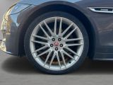 Jaguar XF bei Sportwagen.expert - Abbildung (6 / 15)
