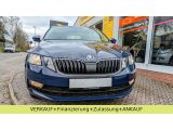Skoda Octavia bei Sportwagen.expert - Abbildung (4 / 15)