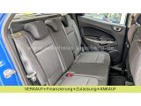 Ford EcoSport bei Sportwagen.expert - Abbildung (10 / 15)