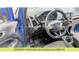Ford EcoSport bei Sportwagen.expert - Abbildung (11 / 15)