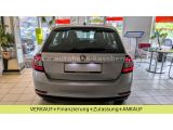 Skoda Rapid bei Sportwagen.expert - Abbildung (6 / 15)