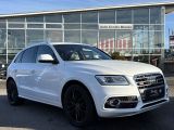 Audi SQ5 bei Sportwagen.expert - Abbildung (9 / 15)
