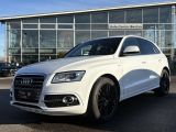 Audi SQ5 bei Sportwagen.expert - Abbildung (2 / 15)