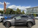 Alfa Romeo Stelvio bei Sportwagen.expert - Abbildung (3 / 15) Alfa Romeo Stelvio bei Sportwagen.expert - Abbildung (3 / 15)