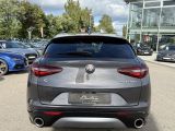 Alfa Romeo Stelvio bei Sportwagen.expert - Abbildung (5 / 15) Alfa Romeo Stelvio bei Sportwagen.expert - Abbildung (5 / 15)