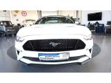 Ford Mustang bei Sportwagen.expert - Abbildung (3 / 15)