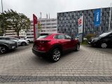 Mazda CX-30 bei Sportwagen.expert - Abbildung (6 / 15)