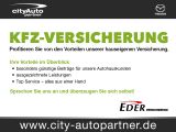 Mazda 2 bei Sportwagen.expert - Abbildung (11 / 15)