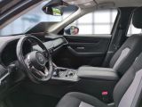 Mazda CX-60 bei Sportwagen.expert - Abbildung (12 / 15)
