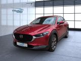 Mazda CX-30 bei Sportwagen.expert - Abbildung (2 / 15)