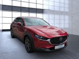 Mazda CX-30 bei Sportwagen.expert - Abbildung (5 / 15)