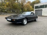 TVR Tasmin bei Sportwagen.expert - Abbildung (2 / 15)