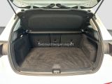 Mercedes-Benz B-Klasse bei Sportwagen.expert - Abbildung (15 / 15)