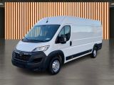Opel Movano bei Sportwagen.expert - Abbildung (2 / 13)