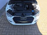 Audi A3 Cabriolet bei Sportwagen.expert - Abbildung (14 / 15)