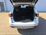 Renault Koleos bei Sportwagen.expert - Abbildung (7 / 15)