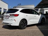 Ford Kuga bei Sportwagen.expert - Abbildung (6 / 15)