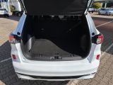 Ford Kuga bei Sportwagen.expert - Abbildung (10 / 15)