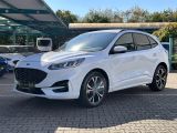 Ford Kuga bei Sportwagen.expert - Abbildung (2 / 15)