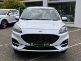 Ford Kuga bei Sportwagen.expert - Abbildung (3 / 15)