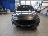 Ford Kuga bei Sportwagen.expert - Abbildung (3 / 15)