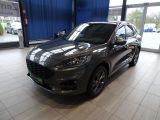 Ford Kuga bei Sportwagen.expert - Abbildung (2 / 15)