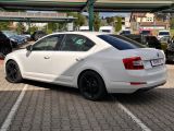 Skoda Octavia bei Sportwagen.expert - Abbildung (8 / 15)