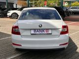 Skoda Octavia bei Sportwagen.expert - Abbildung (7 / 15)
